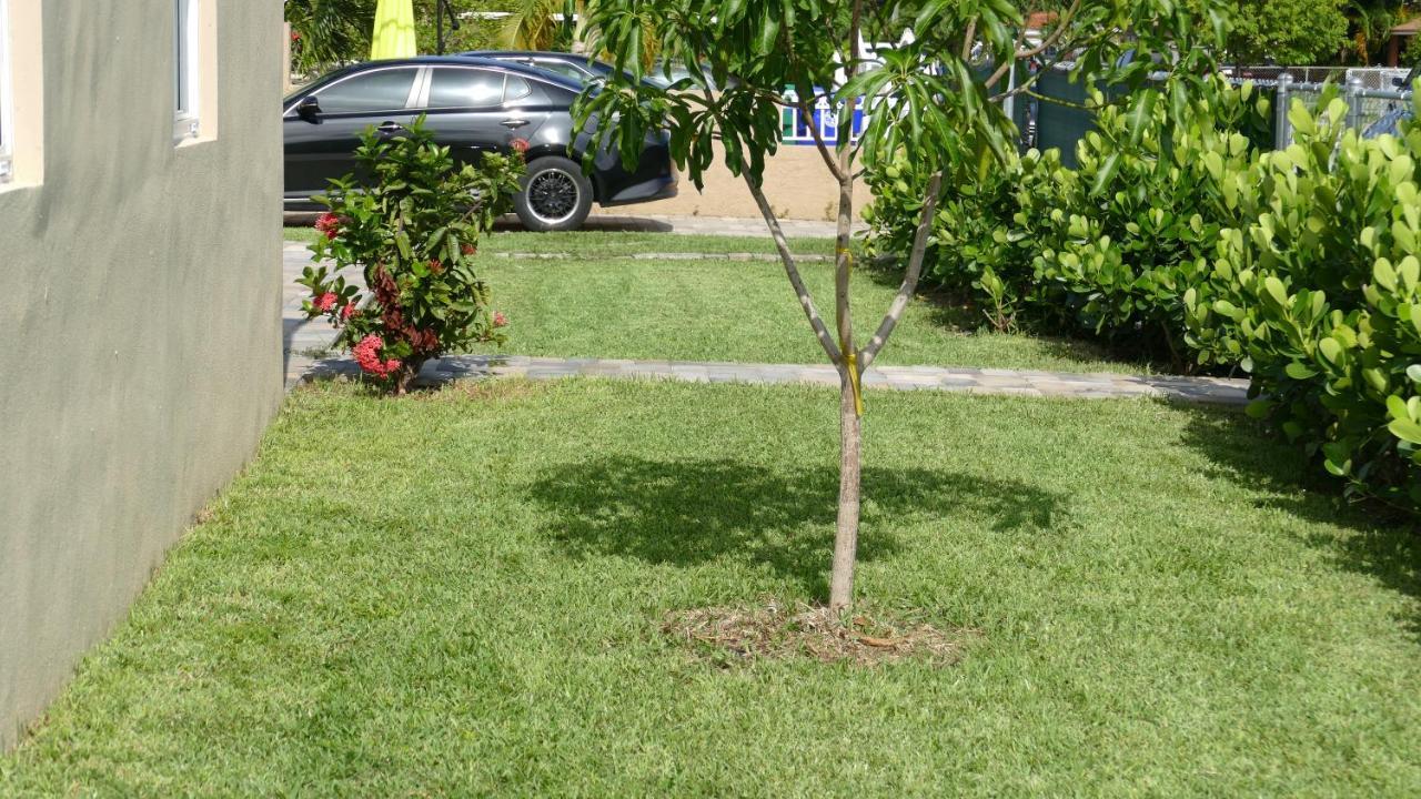 Miami-Airport Oasis Vip House Villa ภายนอก รูปภาพ